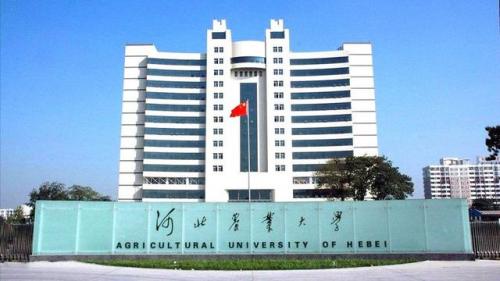 河北高校排行榜(河北最好的十大大学)插图4