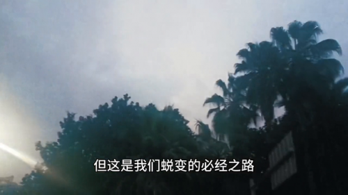 不破不立什么意思(破而后立是比喻爱情什么)插图1