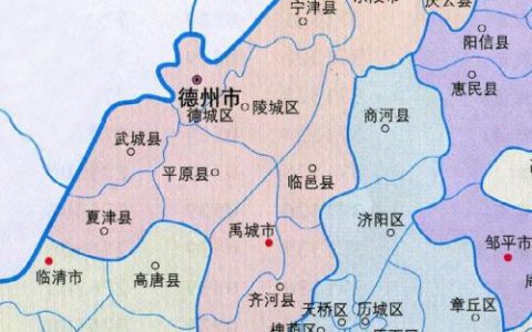 德州蛋白企业排名前十(德州公司排名)