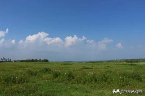 巢湖市小学排行榜(安徽巢湖学校初中排名)插图