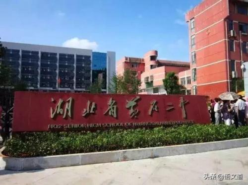 黄石中学排名前十高中(黄石市高中最低录取分数线)插图