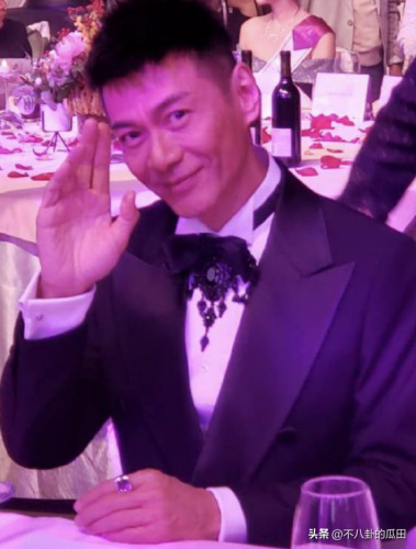 中国明星复出排名前十(永不复出的明星6)插图11