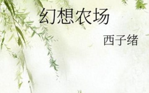 乡村小说排行榜完本小说(完结小说排行榜前十名)