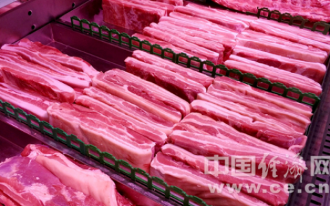 白肉是什么肉(牛肉是红肉还是白肉)