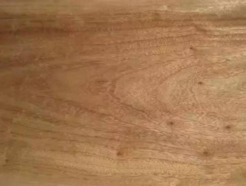 木头密度与硬度排行榜(各种木材的密度和硬度)插图7