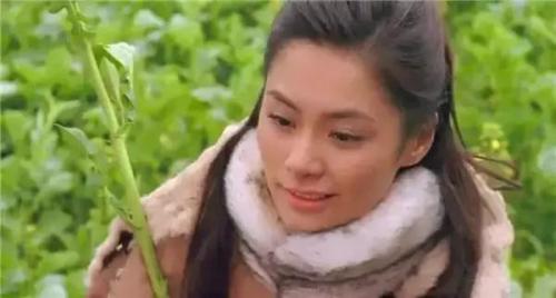 2004票房排行榜(2008年票房排行榜)插图14