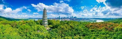 广西好玩的地方排行榜(广西十大景区排名)插图12