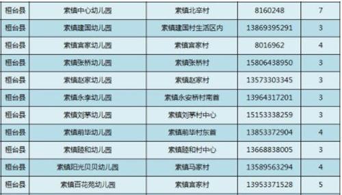 桓台幼儿园排行榜(桓台有几所公立幼儿园)插图7
