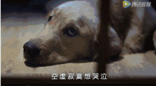 车身广告厂商排名前十(车身广告不超过多少合法)插图7