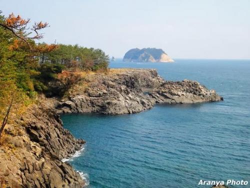 济州岛旅游攻略(济州岛必去的十大景点)插图18