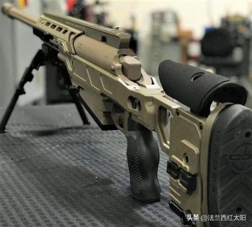 阻击步枪射程排名前十(世界十大名枪之狙击步枪)插图9