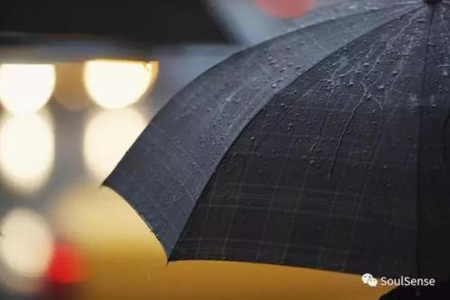 世界雨伞品牌排行榜(十大名牌雨伞)插图8