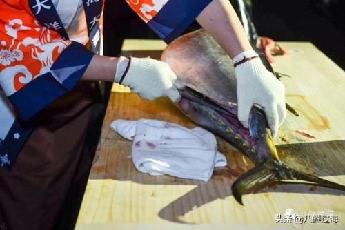 世界海鲜世家排名前十(大洋世家海鲜餐厅怎么样)插图13