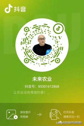 世界农业种类排名前十(世界主粮排名)插图10
