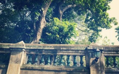 大学环境排行榜(中国大学校园环境排名)