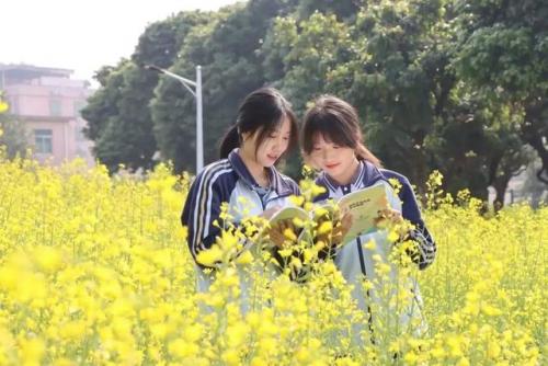 东莞高校校花排名前十(东莞最好的大学是哪一所)插图19