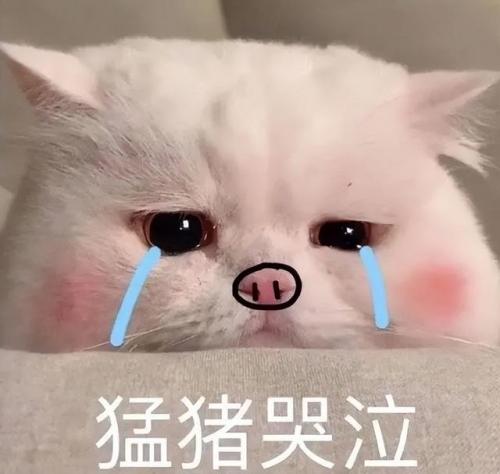 2022手机网游热度排行(十大网络手游排行榜)插图19