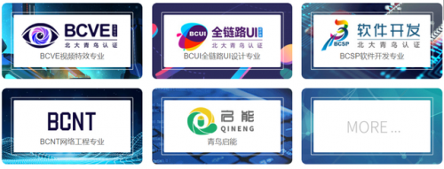 北大青鸟多少钱学费(嘉兴北大青鸟学费一年多少钱)插图3