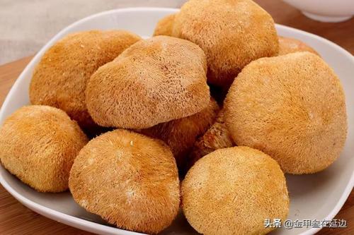 东北蘑菇种类排名前十(东北最好的蘑菇)插图2