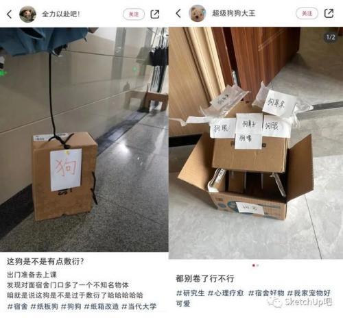 宠物测试纸排名前十(测试纸什么时候用都可以吗)插图8