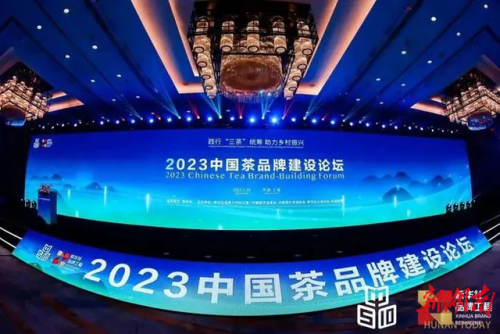 安化黑茶品牌排行榜(安化黑茶什么牌子的最正宗)插图