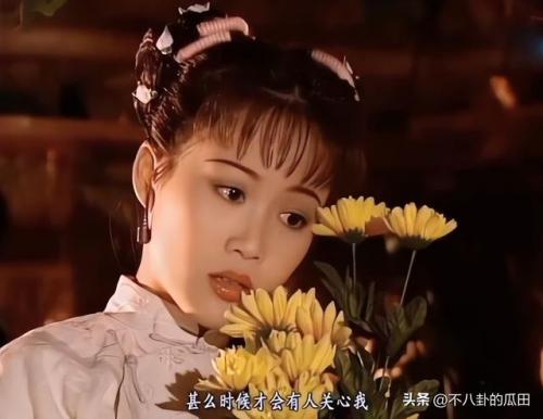 中国明星复出排名前十(永不复出的明星6)插图22