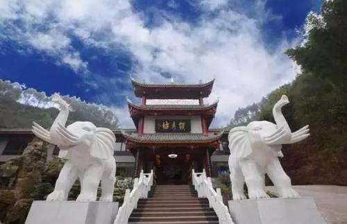 乐山婚庆酒楼排名前十(乐山上档次的中餐酒楼)插图27