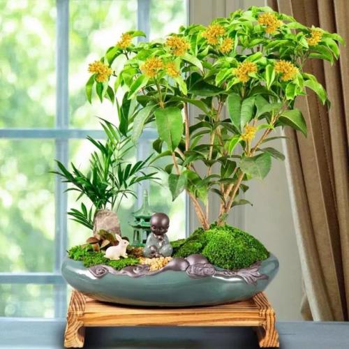 斗战神广寒仙姬本源技(斗战神飞升技能前后比较)插图10