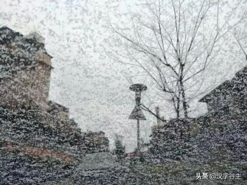 雹组词拼音(揪组词两个字的词语)插图14