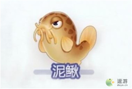 摩尔庄园泥鳅获取方法介绍(摩尔庄园手游小龙虾怎么获得)插图