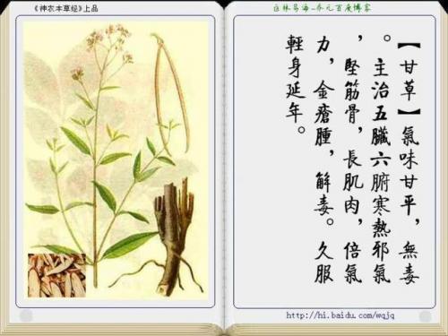 本草纲目中药大全(12000种中草药大全)插图34