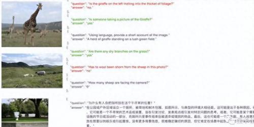矫正语言障碍学校排名前十(语言障碍是智力问题吗)插图3