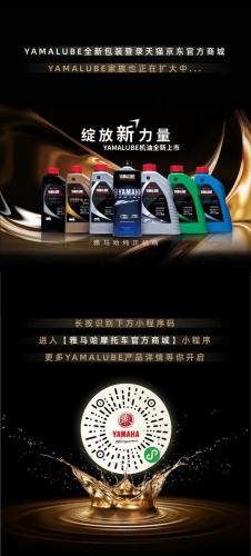 摩托车发动机清洗剂(十大摩托车发动机品牌)插图8