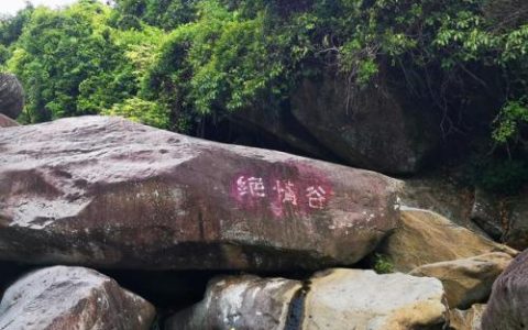神雕侠侣2绝情谷攻略(新神雕侠侣2再续前缘图文攻略)