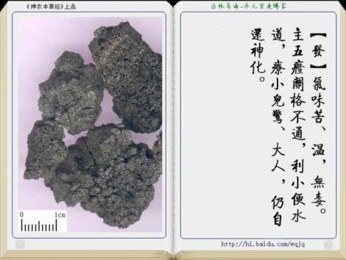 本草纲目中药大全(12000种中草药大全)插图6
