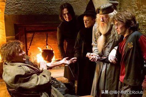 马尔福把魔杖扔给哈利波特(原著中马尔福有没有扔魔杖)插图5
