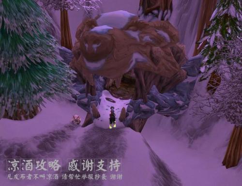 魔兽世界皮甲比基尼(好看的皮甲幻化前十名)插图3