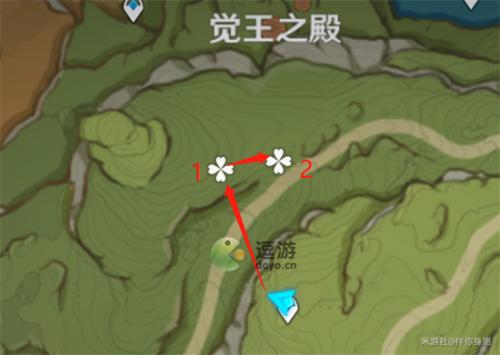 原神帕蒂沙兰快速收集路线图(原神石珀采集地点路线)插图1