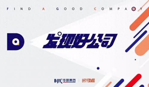 十大不合规公司排行榜(十大拍卖骗子公司)插图