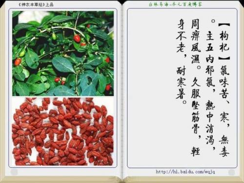 本草纲目中药大全(12000种中草药大全)插图33