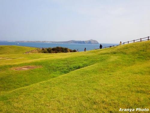 济州岛旅游攻略(济州岛必去的十大景点)插图27