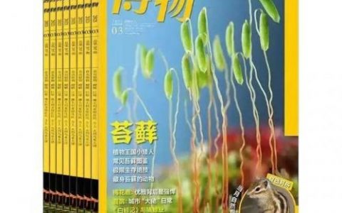 小学生报纸订阅排行榜(教育部门要求小学生订的报纸)