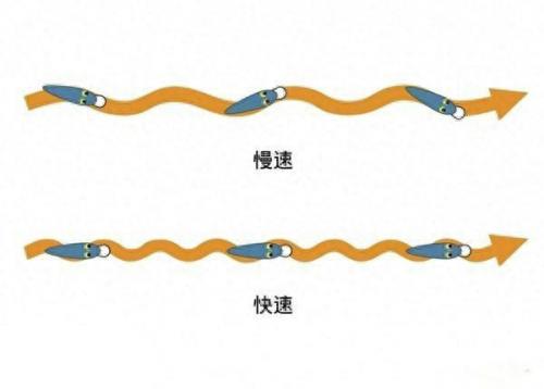 中国十大路亚竿排行榜(国产路亚竿推荐)插图15