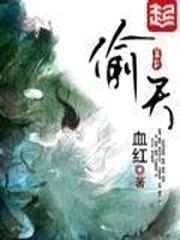 2010小说排行榜(2010至2016年网络小说)插图2