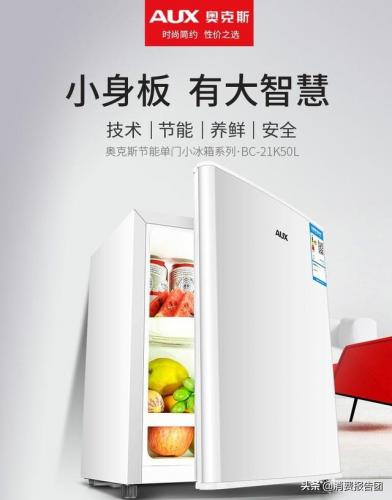 申花冰箱排行榜(上海申花冰箱质量怎么样)插图1