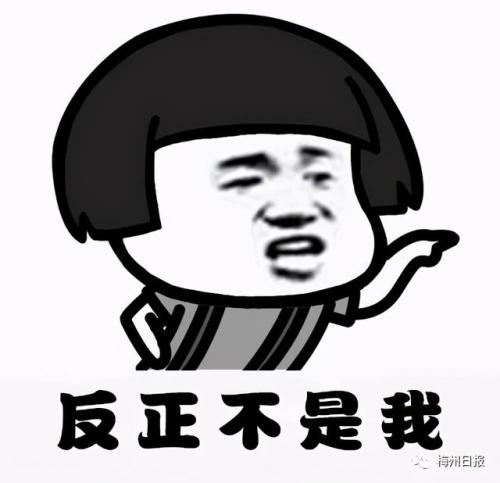 化州籍富豪排行榜(化州平定镇十大富豪)插图