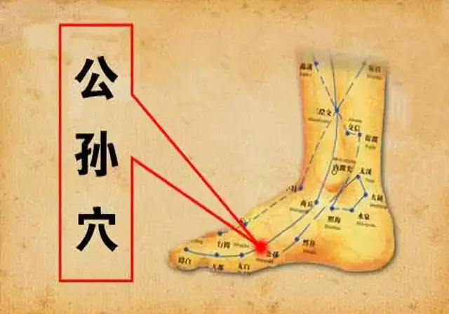 奇经八脉(十二正经走向图)插图6