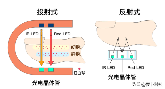 血氧自测仪品牌排行榜(血脂仪自测血脂)插图1