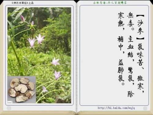 本草纲目中药大全(12000种中草药大全)插图13