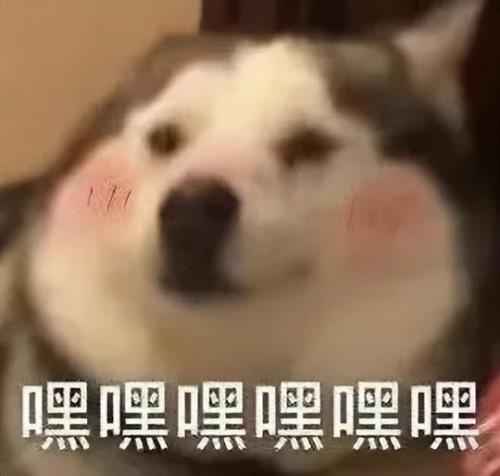 宠物测试纸排名前十(测试纸什么时候用都可以吗)插图9